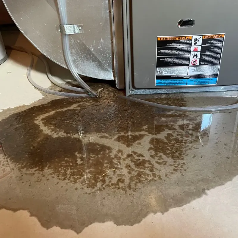 Pipe Burst and Leak Restoration in Cushing, OK